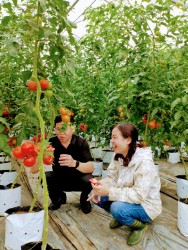 Cán bộ kỹ thuật kiểm tra, đánh giá mô hình