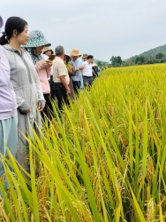 HỘI THẢO ĐẦU BỜ MÔ HÌNH SẢN XUẤT LÚA HỮU CƠ VỤ HÈ THU 2023 TẠI XÃ ĐÔ THÀNH HUYỆN YÊN THÀNH TỈNH NGHỆ AN