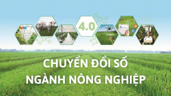 Kế hoạch chuyển đổi số Ngành Nông nghiệp và Phát triển nông thôn năm 2025