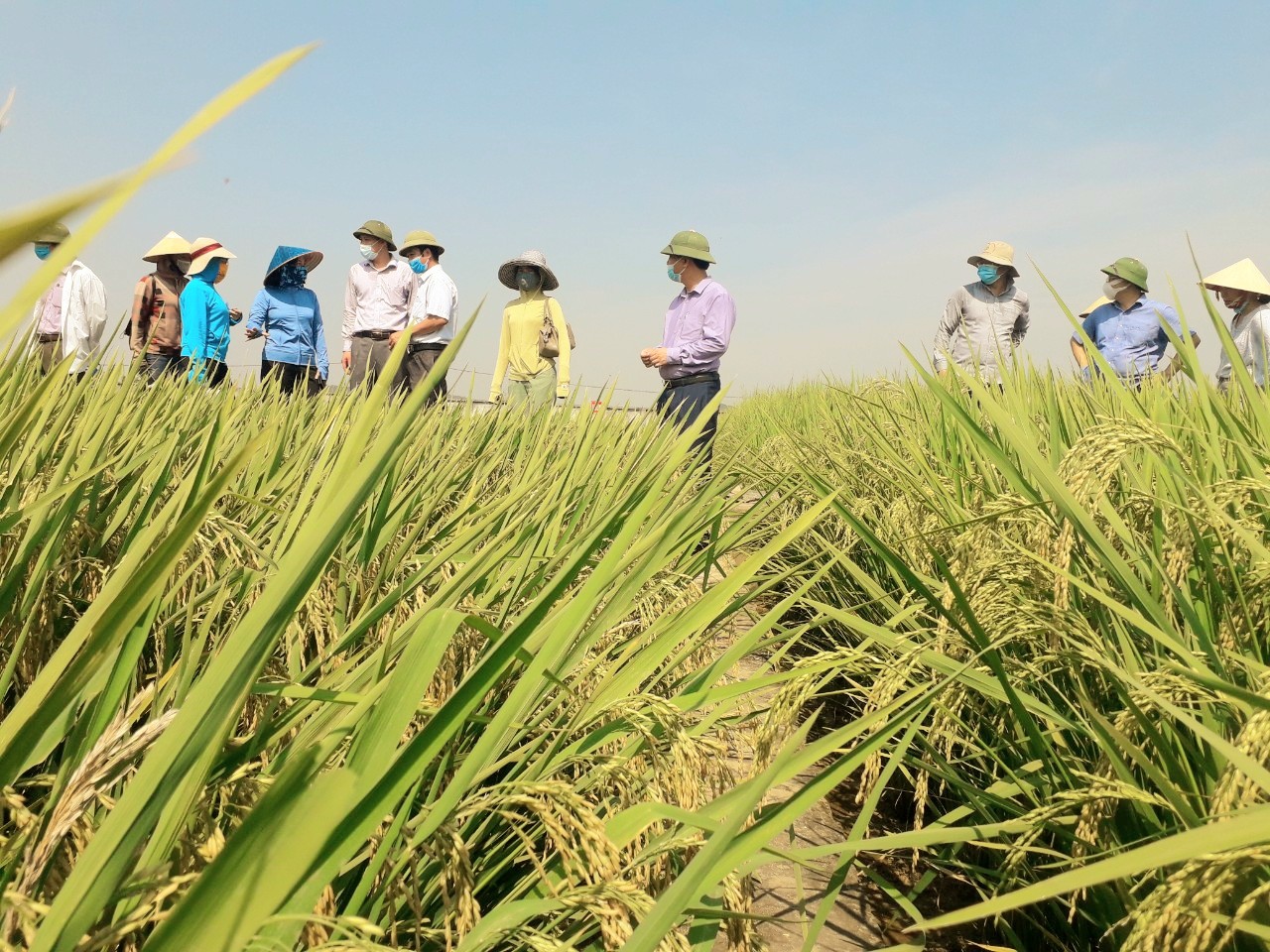 hinh anh kiem tra mo hinh khao nghiem vu xuan 2021 2