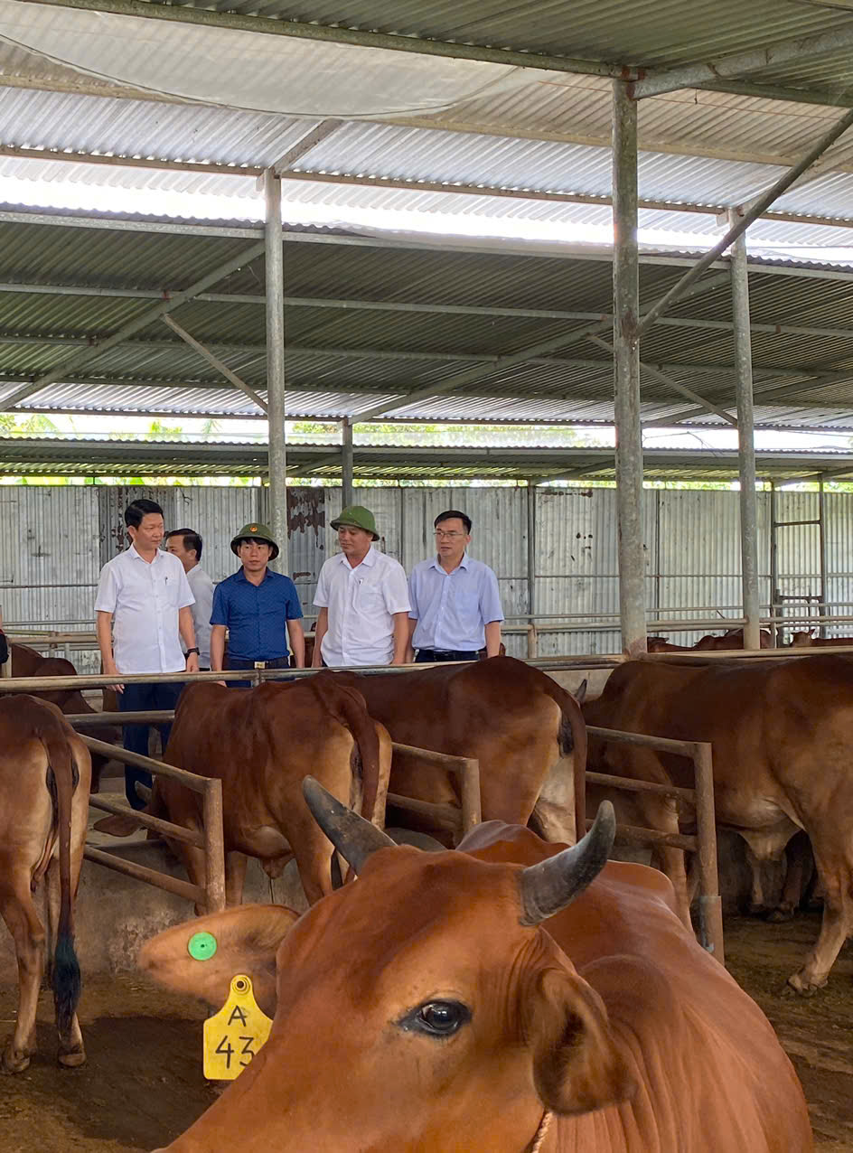 Sở Nông nghiệp và Môi trường kiểm tra tình hình chăn nuôi và một số mô hình chăn nuôi trên địa bàn tỉnh