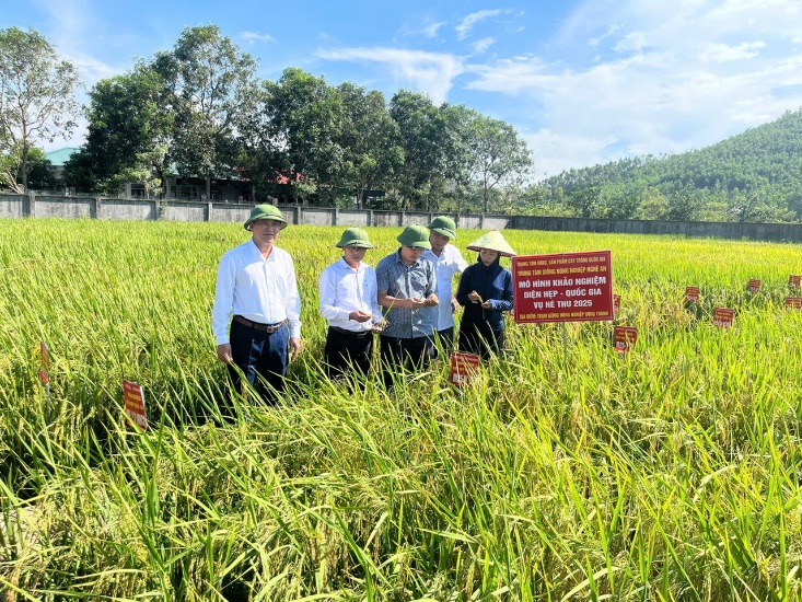 Hội thảo đánh giá các mô hình vụ hè thu năm 2025 tại Trung tâm giống Nông nghiệp