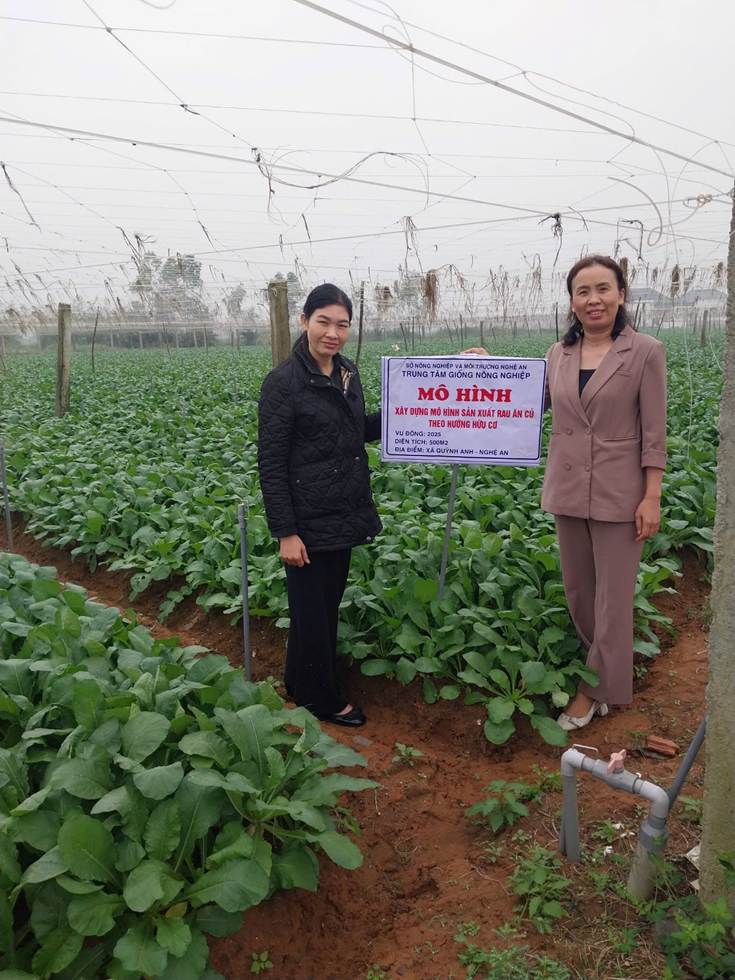 Xây dựng mô hình sản xuất rau ăn củ theo hướng hữu cơ