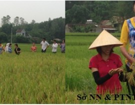 cong-doan-tap-huan-ky-thuat.jpg