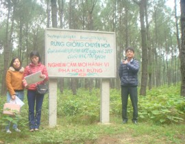 Ru-ng-Tho-ng-nhu-a-du-o-c-Trung-ta-m-chuye-n-hoa-lam-ru-ng-gio-ng-tai-huye-n-Nghi-Lo-c.jpg