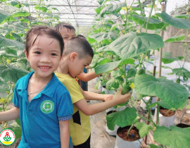 PT8-Mam-non-trai-nghiem-MH-2.jpg