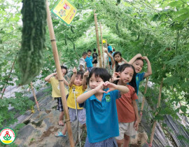 PT8-Mam-non-trai-nghiem-MH-3.jpg